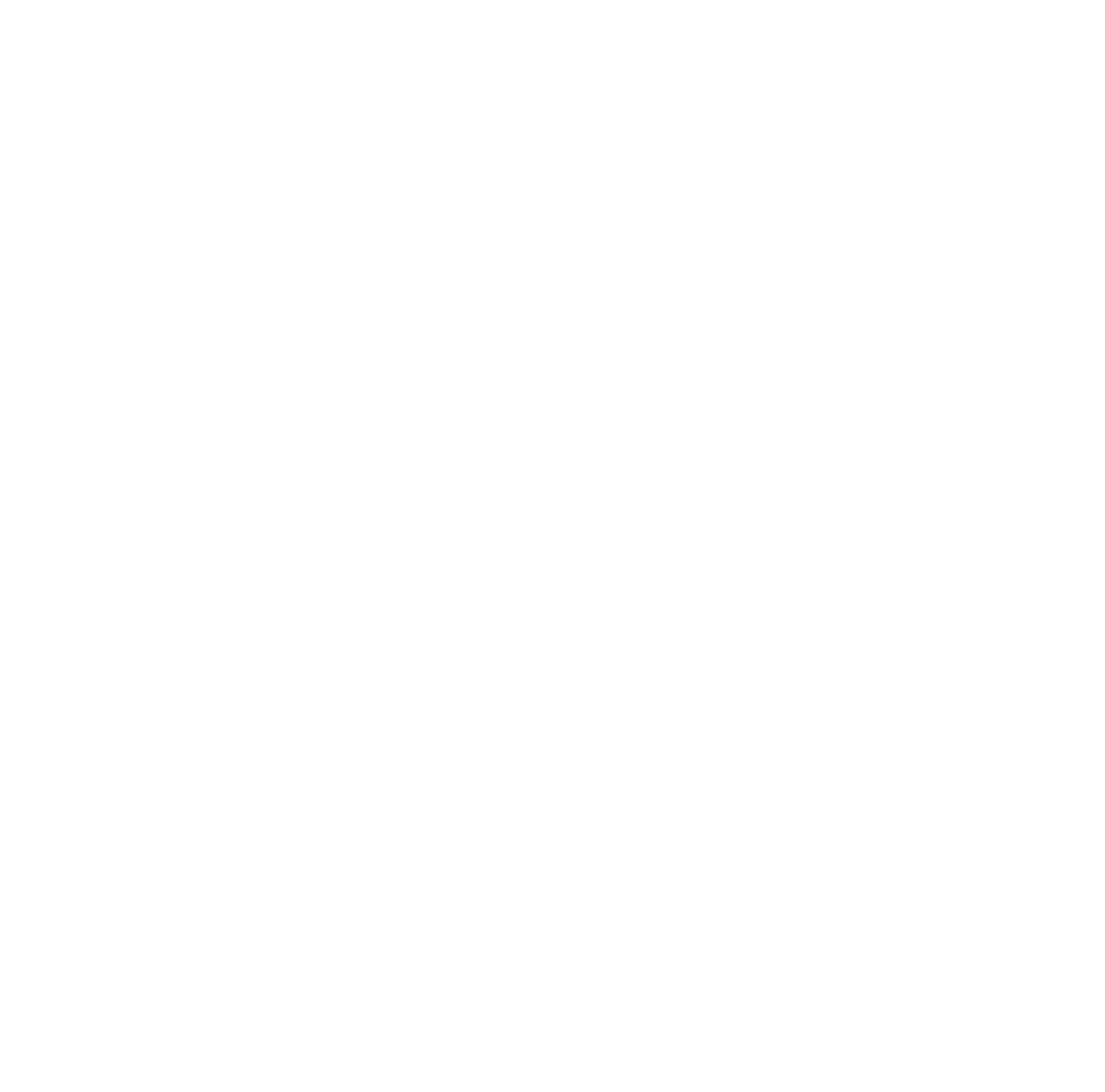 HomeHub Logo White